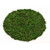 Round Moss Sheet 25 cm
