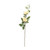 Hamilton Rose Spray Cream 2 Heads from Country Baskets