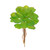 Succulent Pick 18cm from Country Baskets