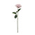 Glamis Single Dahlia With 2 Leaves Light Pink (61Cm) from Country Baskets