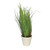 Grass Green With White Pot 46cm from Country Baskets