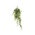 Sandringham Ivy Bush Varigated 191 Leaves from Country Baskets