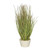 Grass Purple With Ceramic Pot 26cm from Country Baskets