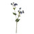 Astrantia Flowers Blue 50Cm