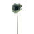 Olivia Anemone Stem Green 38Cm