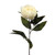 Eternity Artificial Peony Stem Cream 65 cm