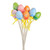 Easter Egg Picks Floral S/12 30Cm