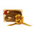 Pull Bows Gold 30 Pack