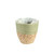 16cm Round Two Tone Seagrass and Green Paper Basket from Country Baskets