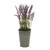 Lavender In Tin Pot 41Cm from Country Baskets