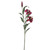 Lily x3 Hot Pink 85cm