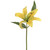 Casablanca Lily Yellow 15"