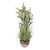 Lavender Grass Cream With Ceramic Pot 72cm