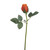 Brilliant Rosebud Orange 15"