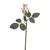 Brilliant Rosebud Lt Pink 15"