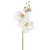 GEM Orchid Ivory 43Cm from Country Baskets
