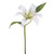 Casablanca Lily Cream 15" from Country Baskets