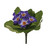 Primula Bush Purple 19cm from Country Baskets