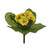 Primula Bush Yellow 19cm