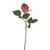 Rosebud Hot Pink 42cm