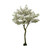 Blossom Tree Cream 2.7M