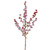 Berry Spray Frosted Red