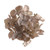 Hydrangea With Clip Champagne 12Cm from Country Baskets