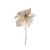Poinsettia Pick Cream 25Cm from Country Baskets