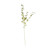 Privet Leaf Spray X 5 Green from Country Baskets