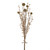 Thistle Straw Grass Bundle Gold 52Cm