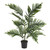 Artificial Potted Cat Palm 84cm