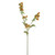 BUTTERCUP SPRAY ORANGE 63CM