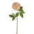 SORBET SINGLE PEONY STEM PEACH 60CM