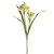 DAFFODIL SPRAY WHITE AND YELLOW 58CM