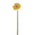 SORBET NEEDLE GERBERA STEM YELLOW 55CM