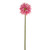 SORBET NEEDLE GERBERA STEM PINK 55CM