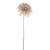 Emily Dahlia Stem Champagne 55Cm from Country Baskets