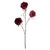 Dogwood Rose Spray Claret 78Cm Hqn from Country Baskets