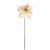 Emily Poinsettia Stem Cream 56Cm from Country Baskets