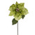 Giant Poinsettia Green 63Cm