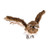 Owl Flying 50Cm