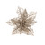 Champagne Poinsettia with Clip - 9 Inch from Country Baskets