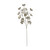 Ginkgo Glitter Stem Champagne from Country Baskets Ginkgo Glitter Stem Champagne from Country Baskets