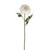 SORBET RANUNCULUS STEM CREAM 44CM