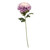 Chrysanthemum Lavender