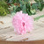 Carnation Single Pink