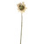 Autumn Sparkle Sunfower Stem Cream 59Cm