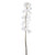 Fritillaria Stem White 95Cm