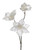 Cream Grace Lily Spray 63cm