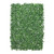 Essential Box Greenwall - Green from Country Baskets